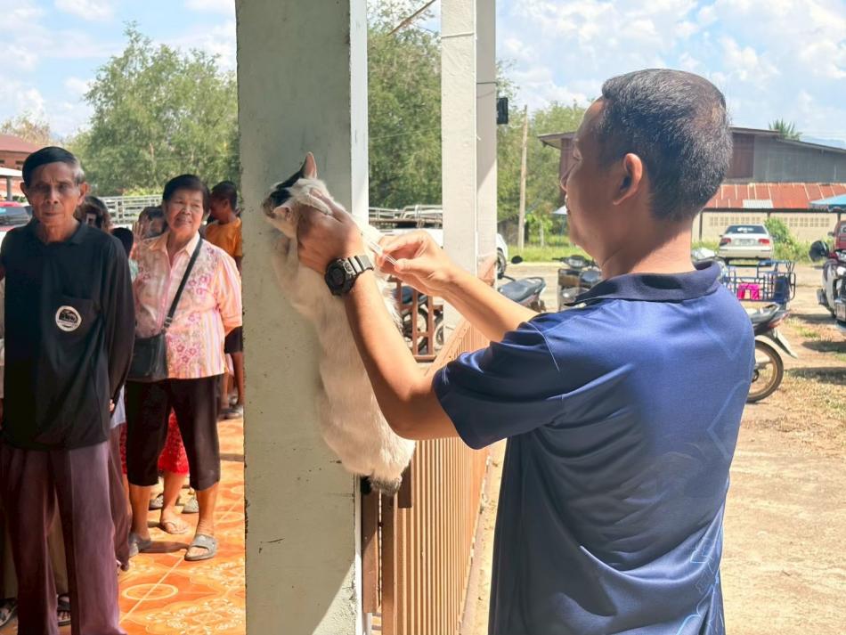 โครงการสัตว์ปลอดโรคคนปลอดภัยจากโรคพิษสุนัขบ้า ประจำปีงบประมาณ พ.ศ.2568